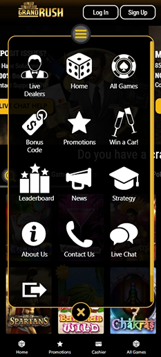 Interface of the mobile website